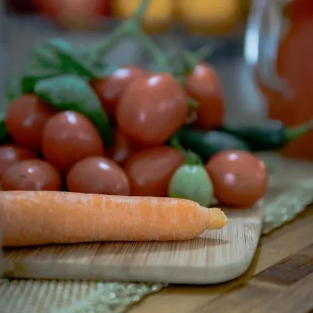 Madame Pucci Couette-café 3*